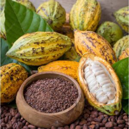 cocoa
