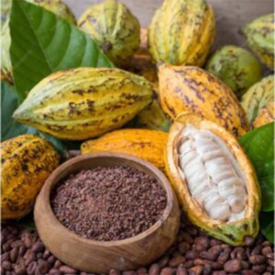 cocoa